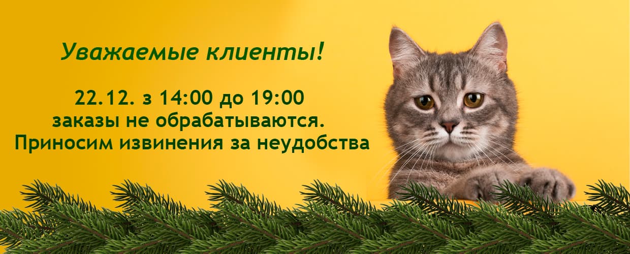Обработка заказов в интернет-магазине