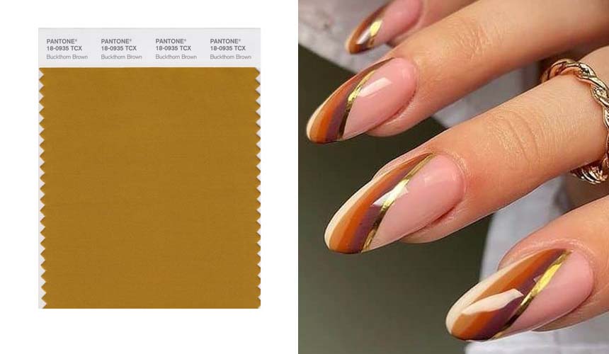 Цвет PANTONE 18-0935 Buckthorn Brown — Облепиховый коричневый