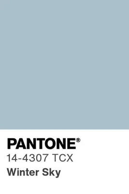 pantone цвет зимнее небо
