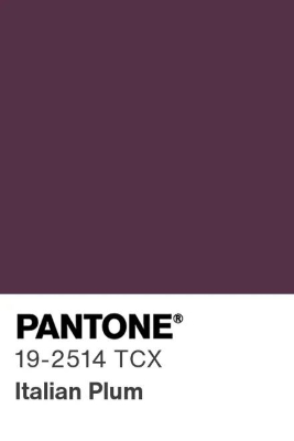 pantone итальянская слива