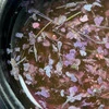 Гель сухоцвет Saga Flower Fairy Gel №01 прозрачный с фиолетовыми цветами (2000994244624) - Фото №2