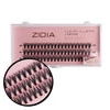 Ресницы ZIDIA Cluster lashes 30D C 0,07 MIX M 3 ленты размер 9, 10, 11 mm (110064) - Фото №1