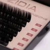 Ресницы ZIDIA Premium Lash Extensions для наращивания  (6 лент) М0,1 х 9 mm - Фото №2