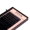 Ресницы ZIDIA Premium Lash Extensions для наращивания  (20 лент) C0,07 х MIX (6-13 мм) - Фото №2