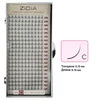 Ресницы ZIDIA Premium Lash Extensions Premade Fans 4D -  для наращивания (20 лент) C0,10 х MIX M (8-16мм) - Фото №1