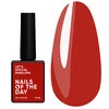 Гель-лак NAILS OF THE DAY Let's special Penelopa глубокий красный/сангрия 10 мл (НФ-00019012) - Фото №1