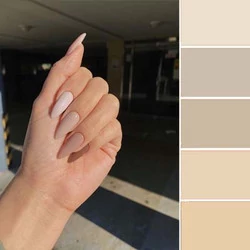 PANTONE 12-0000 White Swan — Белый лебедь