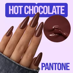 PANTONE 19-1325-TCX Hot Chocolate — уютный коричневый