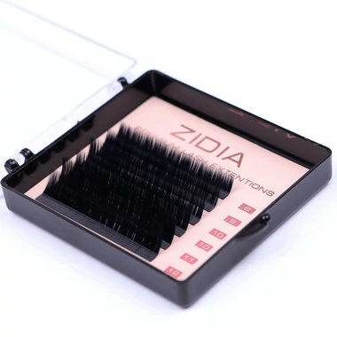 Ресницы ZIDIA Premium Lash Extensions для наращивания  (6 лент) L0,07 х MINI MIX (8-12 мм) - Фото №7