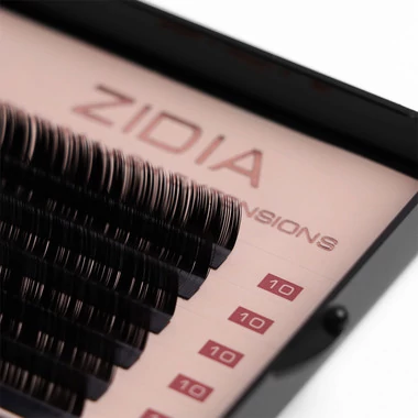 Ресницы ZIDIA Premium Lash Extensions для наращивания  (6 лент) М0,1 х 10 mm - Фото №2
