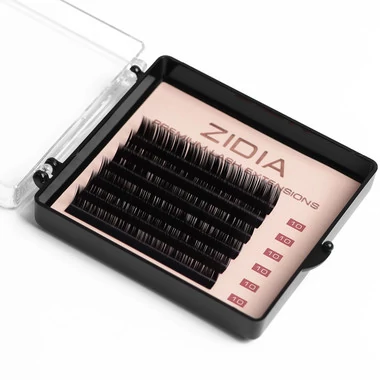 Ресницы ZIDIA Premium Lash Extensions для наращивания  (6 лент) М0,1 х 10 mm - Фото №3