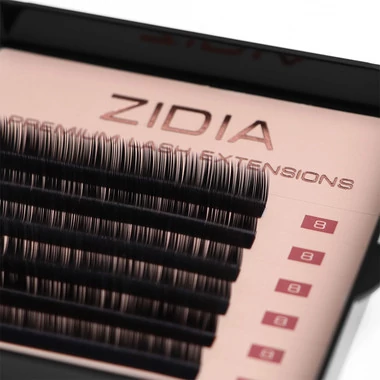 Ресницы ZIDIA Premium Lash Extensions для наращивания  (6 лент) М0,1 х 8 mm - Фото №2