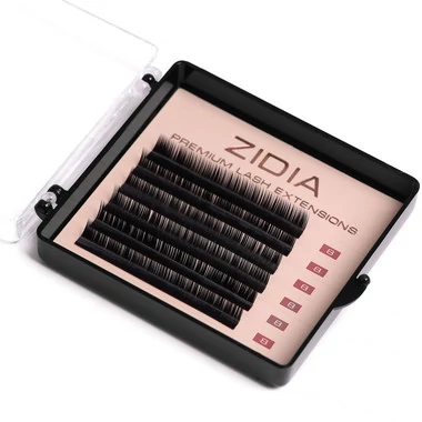 Ресницы ZIDIA Premium Lash Extensions для наращивания  (6 лент) М0,1 х 8 mm - Фото №3