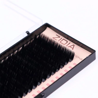 Ресницы ZIDIA Premium Lash Extensions для наращивания  (20 лент) L0,07 х 10 мм - Фото №3