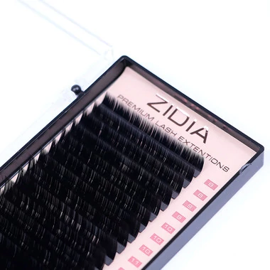 Ресницы ZIDIA Premium Lash Extensions для наращивания  (20 лент) L0,07 х MIX M (8-16 мм) - Фото №2