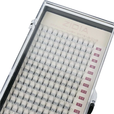 Рсницы ZIDIA Premium Lash Extensions Premade Fans 4D - для наращивания (20 лент) D0,10 х MIX M (8-16 мм) - Фото №2