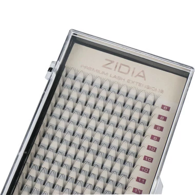ZIDIA Premium Lash Extensions Premade Fans 5D - для наращивания (20 лент) C0,10 х MIX M (8-16мм) - Фото №2