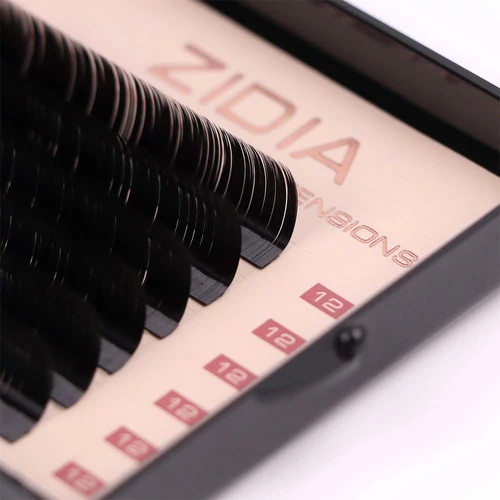 Ресницы ZIDIA Premium Lash Extensions для наращивания  (6 лент) М0,1 х 12 mm - Фото №2