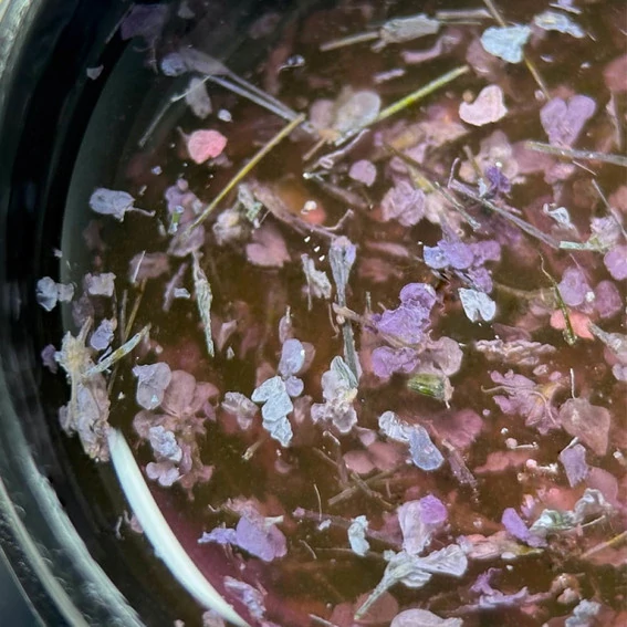 Гель сухоцвет Saga Flower Fairy Gel №01 прозрачный с фиолетовыми цветами (2000994244624) - Фото №2
