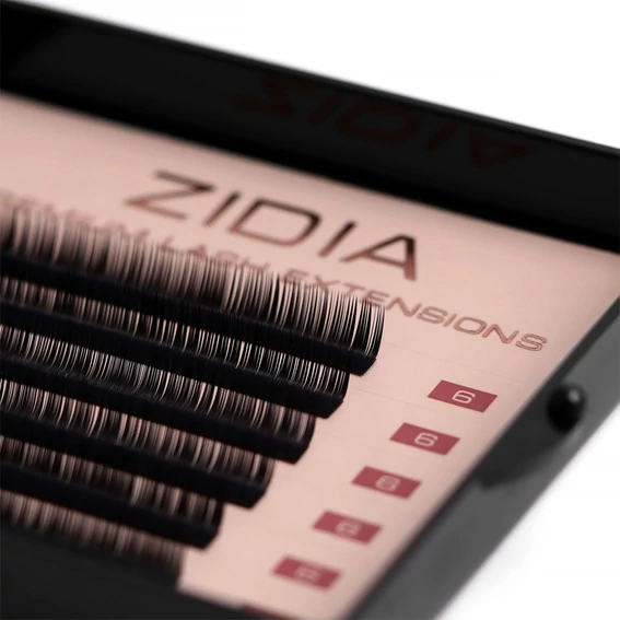 Ресницы ZIDIA Premium Lash Extensions для наращивания  (6 лент) М0,1 х 6 mm - Фото №2