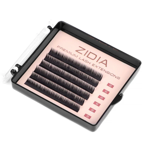 Ресницы ZIDIA Premium Lash Extensions для наращивания  (6 лент) М0,1 х 6 mm - Фото №3