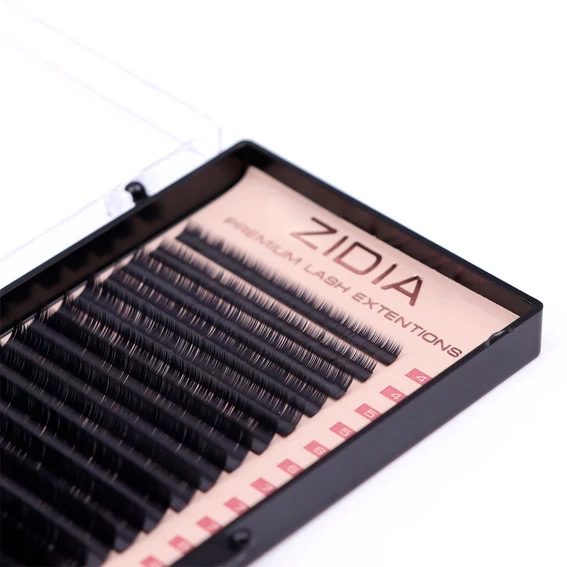 Ресницы ZIDIA Premium Lash Extensions для наращивания   (20 лент) C0,07 х MIX S (4-11 мм) - Фото №2