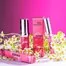 Фиксирующий концентрат ZOLA× Romashka FIXING CERAMIDE CONCENTRATE 15 мл (05094) - Фото №3