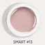 Гель для ногтей Dark Smart Builder gel 13 бежевый 15 мл (DSG1315) - Фото №3